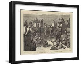 The Prince of Wales Hunting in the Terai, Measuring the Tiger-Samuel Edmund Waller-Framed Giclee Print