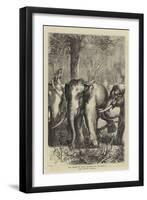 The Prince of Wales Hunting in the Terai, the Captive Monarch-null-Framed Giclee Print