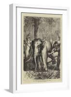 The Prince of Wales Hunting in the Terai, the Captive Monarch-null-Framed Giclee Print