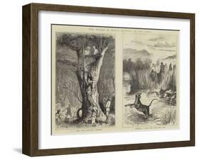 The Prince of Wales Hunting in the Terai-null-Framed Giclee Print