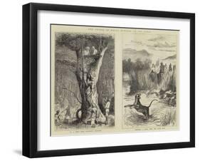 The Prince of Wales Hunting in the Terai-null-Framed Giclee Print