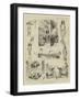 The Prince of Wales in Ceylon-null-Framed Giclee Print