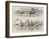 The Prince of Wales in Egypt, the Races at Cairo-null-Framed Giclee Print