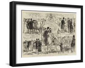 The Prince of Wales in Norfolk-null-Framed Giclee Print