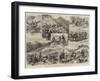 The Prince of Wales in the Highlands, a Deer-Drive in Mar Forest-null-Framed Giclee Print