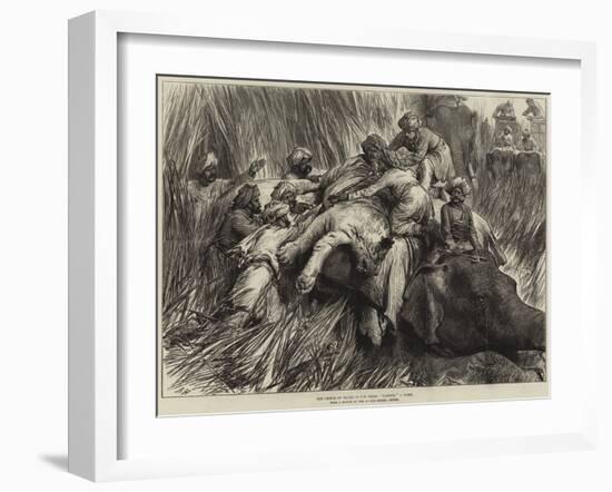 The Prince of Wales in the Terai, Padding a Tiger-Arthur Hopkins-Framed Giclee Print