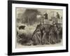 The Prince of Wales in the Terai, Shooting a Bear-Arthur Hopkins-Framed Giclee Print