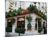 The Prince of Wales Pub, Covent Garden, London, England-Inger Hogstrom-Mounted Photographic Print