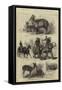 The Prince of Wales's Animals from India-null-Framed Stretched Canvas