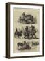 The Prince of Wales's Animals from India-null-Framed Giclee Print