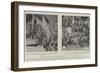 The Prince of Wales's Gift to the Maoris, Presentation of a Flag to the Arawa Tribe-null-Framed Giclee Print