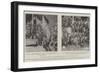 The Prince of Wales's Gift to the Maoris, Presentation of a Flag to the Arawa Tribe-null-Framed Giclee Print