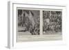 The Prince of Wales's Gift to the Maoris, Presentation of a Flag to the Arawa Tribe-null-Framed Giclee Print