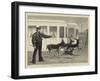 The Prince of Wales's Indian Presents, Antelopes at Exercise-Samuel Edmund Waller-Framed Giclee Print