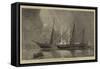 The Prince of Wales's New Yacht Osborne-null-Framed Stretched Canvas