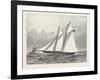 The Prince of Wales's Yacht, Hildedegarde, 1876, UK-null-Framed Giclee Print