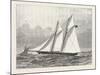 The Prince of Wales's Yacht, Hildedegarde, 1876, UK-null-Mounted Giclee Print