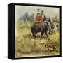The Prince of Wales Tiger Hunting in India-Henry Payne-Framed Stretched Canvas