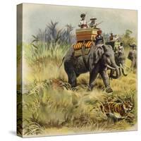 The Prince of Wales Tiger Hunting in India-Henry Payne-Stretched Canvas