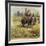 The Prince of Wales Tiger Hunting in India-Henry Payne-Framed Giclee Print