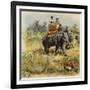 The Prince of Wales Tiger Hunting in India-Henry Payne-Framed Giclee Print