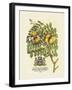 The Prince Saxegotha Botanical-Georg Ehret-Framed Premium Giclee Print