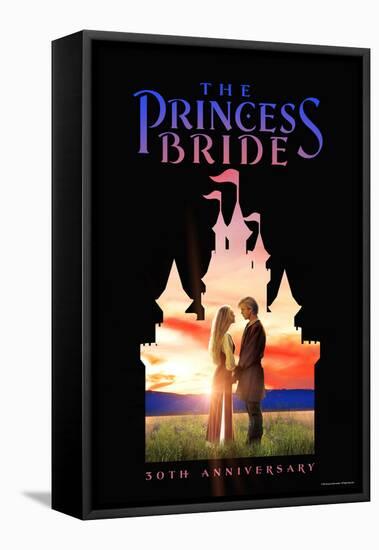 The Princess Bride 30th Anniversary Castle-null-Framed Stretched Canvas