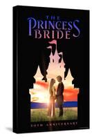 The Princess Bride 30th Anniversary Castle-null-Stretched Canvas