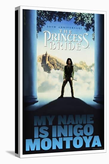 The Princess Bride 30th Anniversary - My Name Is Inigo Montoya-null-Stretched Canvas