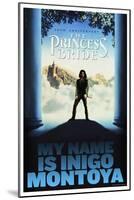 The Princess Bride 30th Anniversary - My Name Is Inigo Montoya-null-Mounted Poster