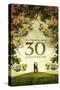 The Princess Bride 30th Anniversary-null-Stretched Canvas