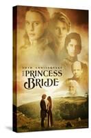 The Princess Bride 30th Anniversary-null-Stretched Canvas