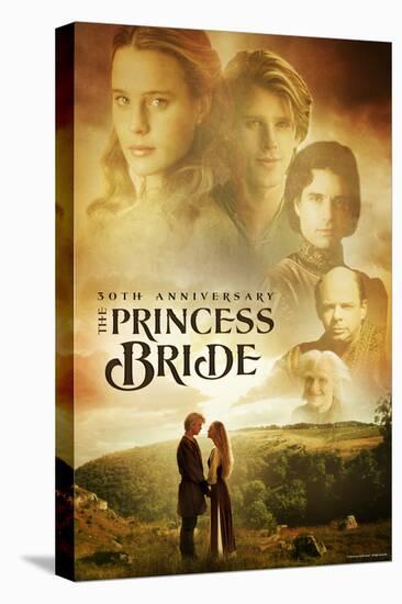 The Princess Bride 30th Anniversary-null-Stretched Canvas