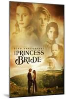 The Princess Bride 30th Anniversary-null-Mounted Poster