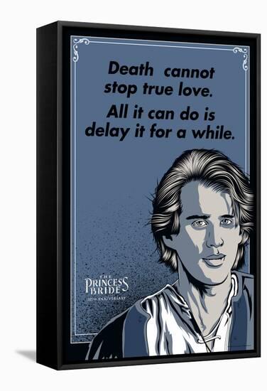 The Princess Bride - Death Cannot Stop True Love (Westley)-null-Framed Stretched Canvas