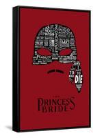 The Princess Bride Mask-null-Framed Stretched Canvas