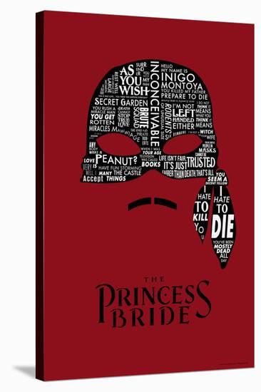 The Princess Bride Mask-null-Stretched Canvas