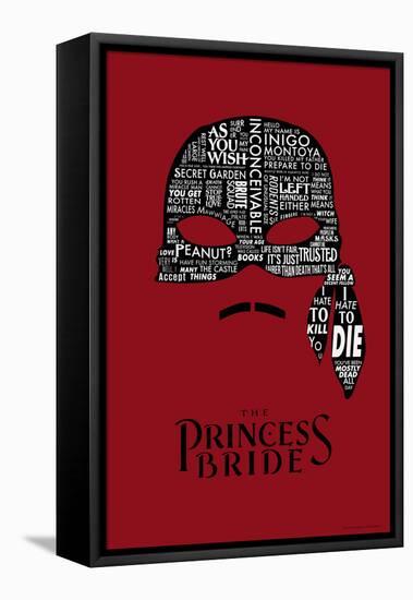 The Princess Bride Mask-null-Framed Stretched Canvas