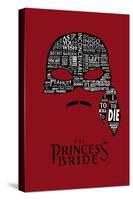 The Princess Bride Mask-null-Stretched Canvas