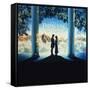 The Princess Bride Video Cover-null-Framed Stretched Canvas