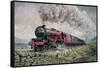 The Princess Elizabeth Storms North in All Weathers-David Nolan-Framed Stretched Canvas