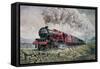 The Princess Elizabeth Storms North in All Weathers-David Nolan-Framed Stretched Canvas