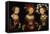 The Princesses Sibylla, Emilia, and Sidonia of Saxony, 1535-Lucas Cranach the Elder-Framed Stretched Canvas