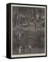 The Prisoner of Zenda-Joseph Holland Tringham-Framed Stretched Canvas