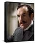 The Private Life of Sherlock Holmes-null-Framed Stretched Canvas