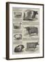 The Prize Cattle and Implements-null-Framed Giclee Print