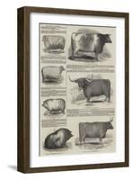 The Prize Cattle and Implements-null-Framed Giclee Print