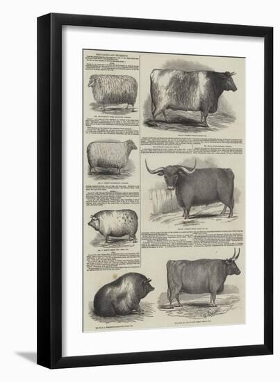 The Prize Cattle and Implements-null-Framed Giclee Print