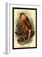 The Proboscis Monkey-G.r. Waterhouse-Framed Art Print