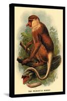 The Proboscis Monkey-G.r. Waterhouse-Stretched Canvas